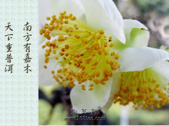 ն˵裩